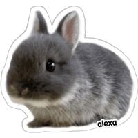 sticker image #26