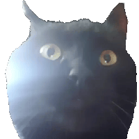 sticker image #28