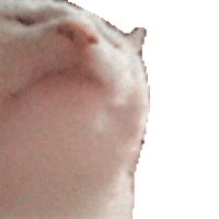 sticker image #1