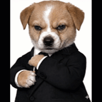 sticker image #10