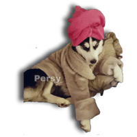 sticker image #11