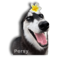sticker image #12