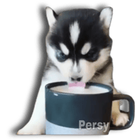 sticker image #13