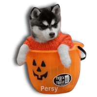 sticker image #14