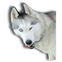 sticker image #15