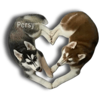 sticker image #16