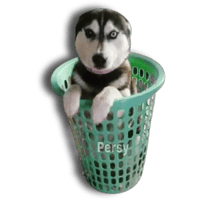 sticker image #17