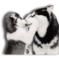 sticker image #20