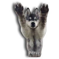 sticker image #21
