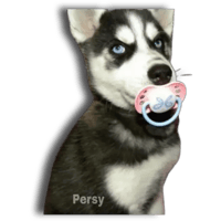 sticker image #22