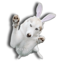 sticker image #24