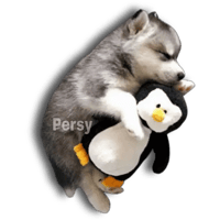 sticker image #29