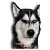 sticker image #3