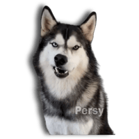 sticker image #5