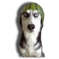sticker image #6
