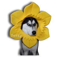 sticker image #7