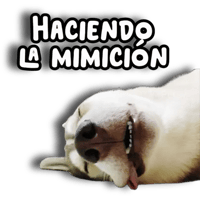 sticker image #13