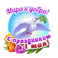 sticker image #7