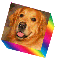 sticker image #3
