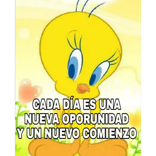 Sticker Maker - Piolin Frases Positivas