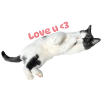 sticker image #11