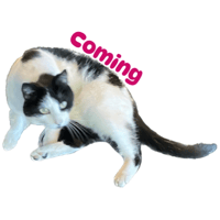 sticker image #14