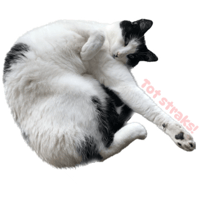 sticker image #16