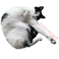 sticker image #17