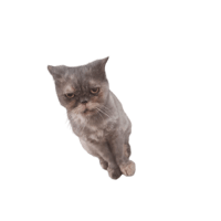 sticker image #1