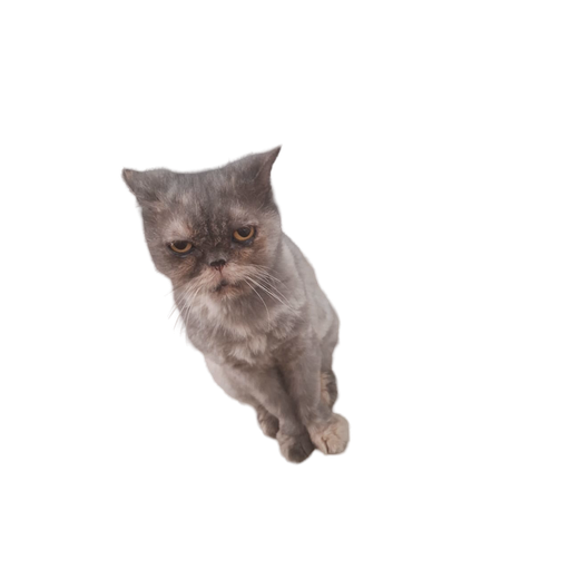 tray_icon #125016 sticker_pack