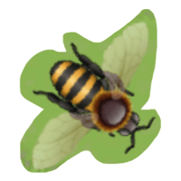 sticker image #7