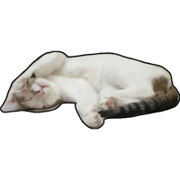 sticker image #10