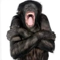 sticker image #23