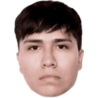 tray_icon