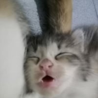 sticker image #17