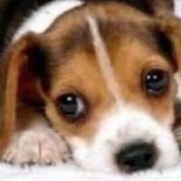sticker image #25