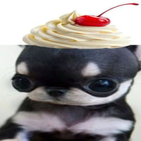 sticker image #6