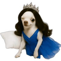 sticker image #28