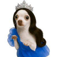 sticker image #8