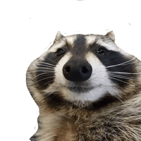 sticker image #14