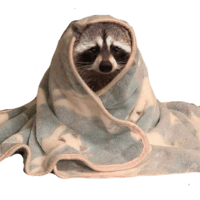 sticker image #15