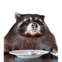 sticker image #16