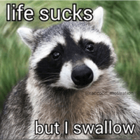 sticker image #8
