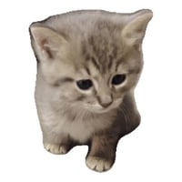 sticker image #2