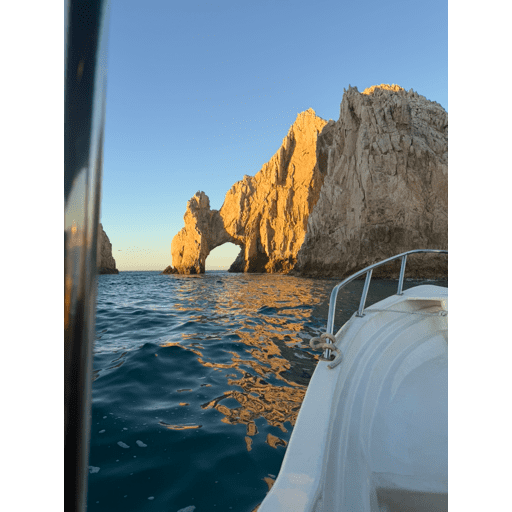 tray_icon #127139 sticker_pack