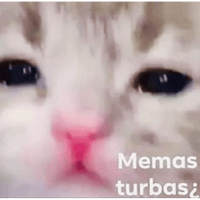 sticker image #11