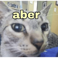 sticker image #29