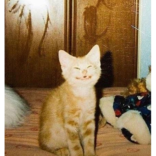 tray_icon #101830 sticker_pack