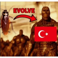 sticker image #17