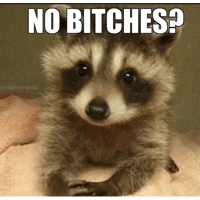 sticker image #15